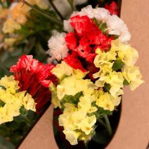 Regalo Presidente - regalos... 2