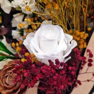 Regalo Bellesa - regalo... 2