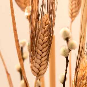 Ramilletes Conjunto Caliz